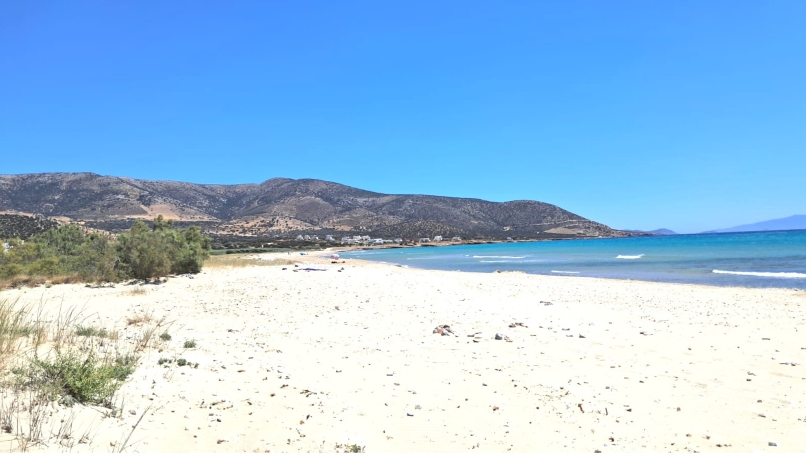 The Golden Seaside Tour — scene 5
